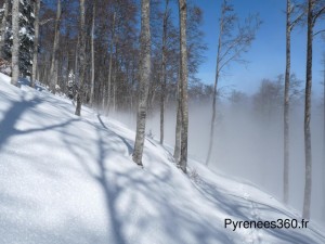 P1480550