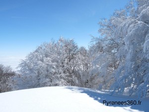 P1480559