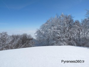 P1480560