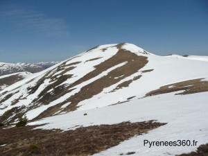 Pla de Montcamp 1