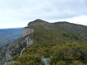 Pala del Teller 1