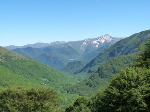 Pique d'Endron 1