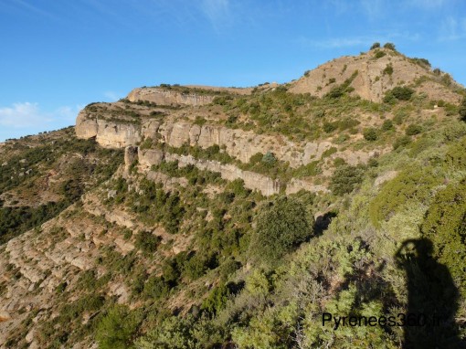 P1490656