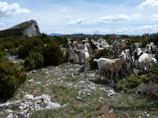 L Avedoga d Adons - Chevres 2