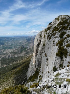 P1490699