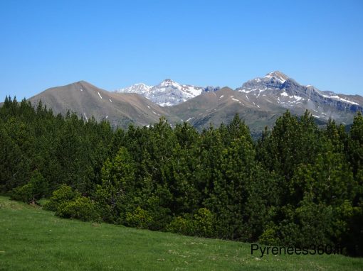 Pico de Tendenera 1